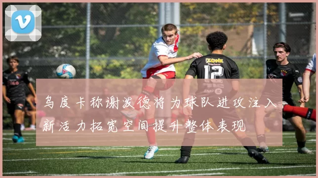 乌度卡称谢泼德将为球队进攻注入新活力拓宽空间提升整体表现